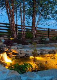 Pond Lighting.