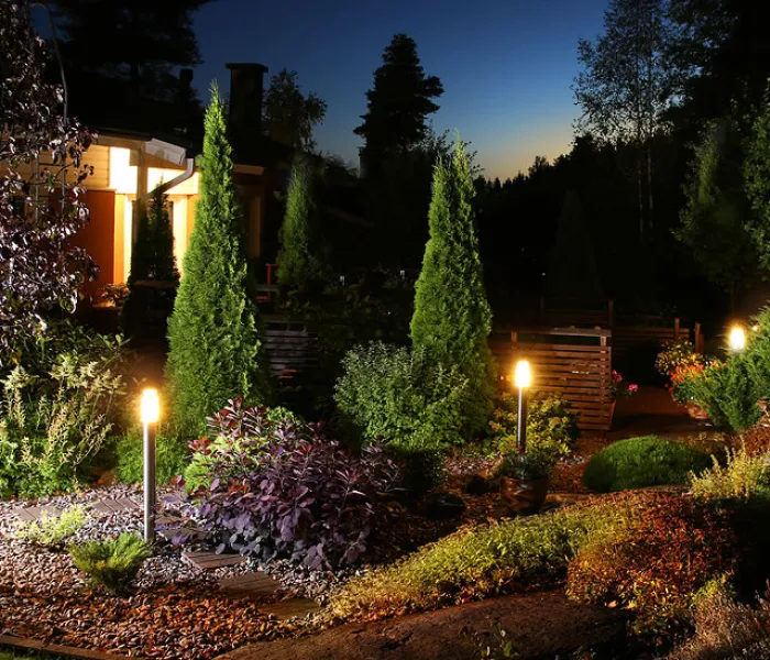 A serene garden illuminated by soft lights, showcasing vibrant plants under the night sky.