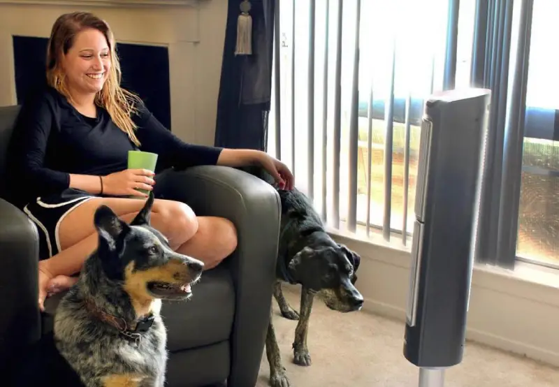 Photograph of a woman sitting on a leather chair with a green cup in her hand and two dogs next to her.  She is sitting in front of a floor fan.